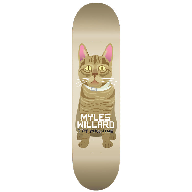 MYLES WILLARD CAT 8.13