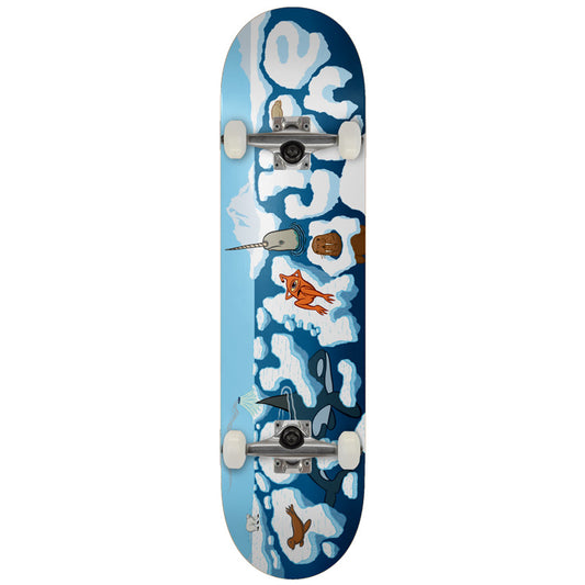 8.25 ARCTIC COMPLETE